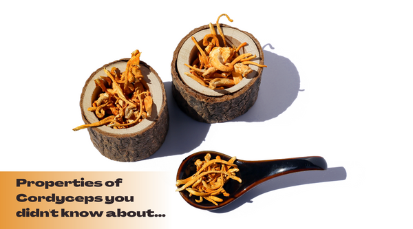 Cordyceps - the healing potential of the mushroom and 7 medicinal  properties