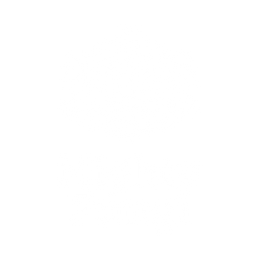 Mighty Fungi - World Class Quality Supplements for Focus